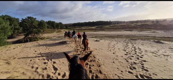 Buitenritten (evt. met overnachting) - Loonse en Drunense Duinen Noord-Brabant - Nederland