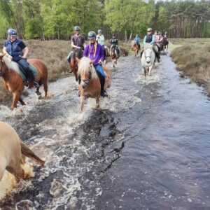Buitenritten (evt. met overnachting) - Loonse en Drunense Duinen Noord-Brabant - Nederland - Afbeelding 8