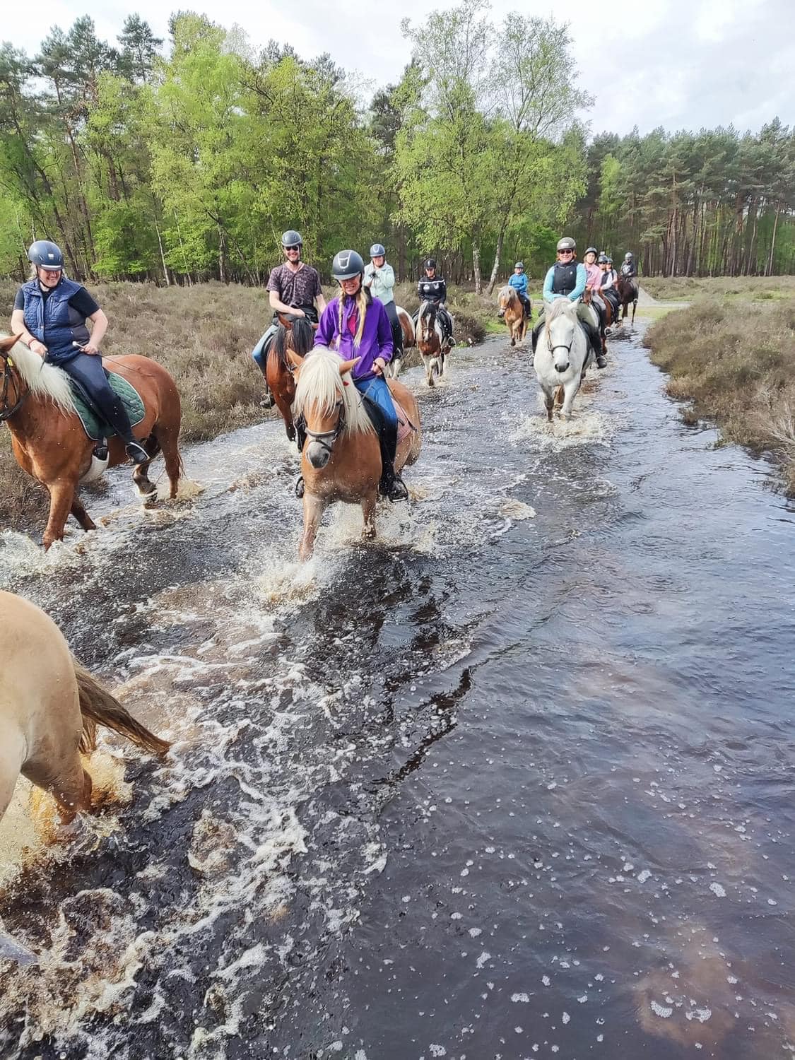 Buitenritten (evt. met overnachting) - Loonse en Drunense Duinen Noord-Brabant - Nederland