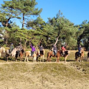 Ponykamp voor ruiters van 10 t/m 17 jaar - Loonse en Drunense Duinen Noord-Brabant - Nederland - Afbeelding 7