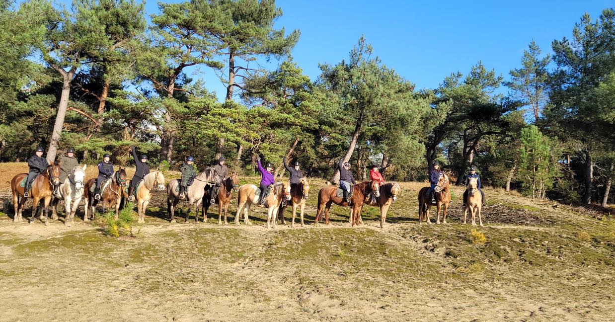 Ponykamp voor ruiters van 10 t/m 17 jaar - Loonse en Drunense Duinen Noord-Brabant - Nederland - Afbeelding 7