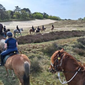 Ponykamp voor ruiters van 10 t/m 17 jaar - Loonse en Drunense Duinen Noord-Brabant - Nederland - Afbeelding 6