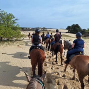 Ponykamp voor ruiters van 10 t/m 17 jaar - Loonse en Drunense Duinen Noord-Brabant - Nederland - Afbeelding 5