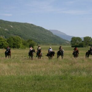 Ranchvakantie in Duga Resa – Kroatië - Afbeelding 15