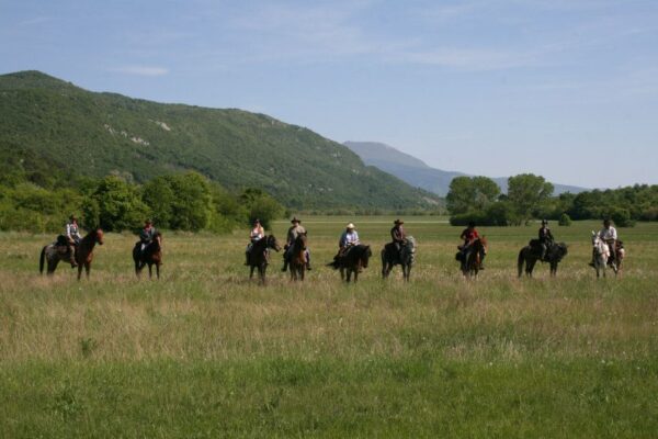 Ranchvakantie in Duga Resa – Kroatië