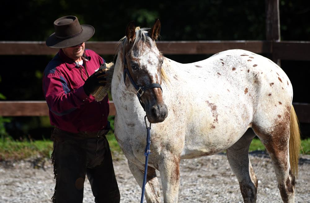 Ranchvakantie in Duga Resa – Kroatië - Afbeelding 17