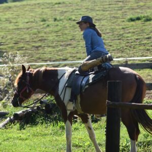 Ranchvakantie in Duga Resa – Kroatië - Afbeelding 18