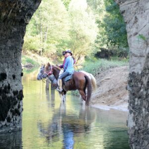 Ranchvakantie in Duga Resa – Kroatië - Afbeelding 20