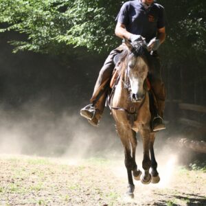 Ranchvakantie in Duga Resa – Kroatië - Afbeelding 23