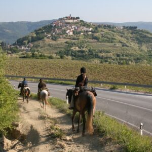 Ranchvakantie in Duga Resa – Kroatië - Afbeelding 5