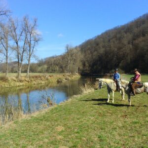 Ranchvakantie in Duga Resa – Kroatië - Afbeelding 7