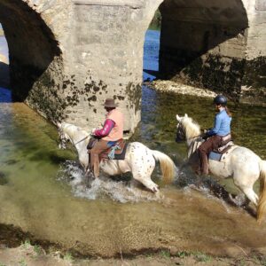 Ranchvakantie in Duga Resa – Kroatië - Afbeelding 8