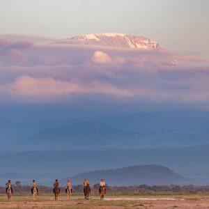 8-daagse Paardrijsafari Kilimanjaro Olifantenattractie - Tanzania - Afbeelding 41
