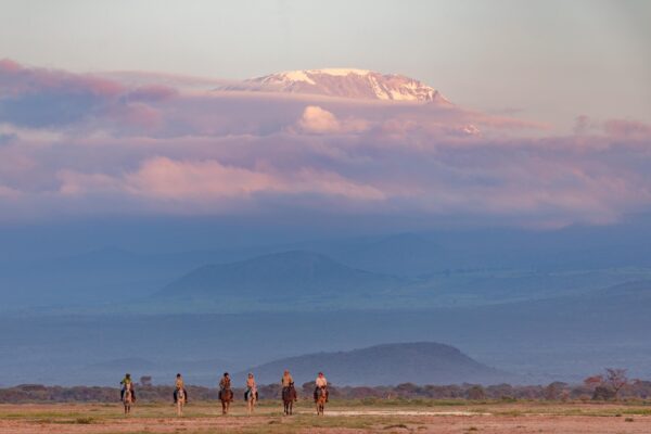 8-daagse Paardrijsafari Kilimanjaro Olifantenattractie - Tanzania