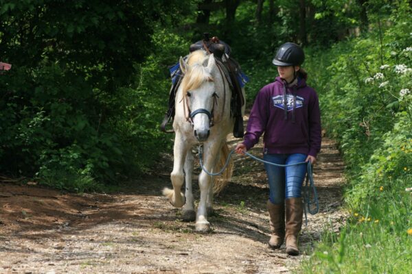 Ranchvakantie in Duga Resa – Kroatië