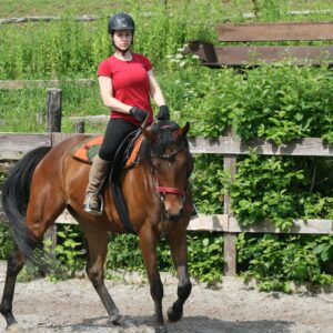 Ranchvakantie in Duga Resa – Kroatië - Afbeelding 10