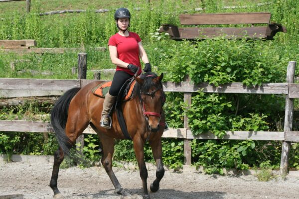 Ranchvakantie in Duga Resa – Kroatië