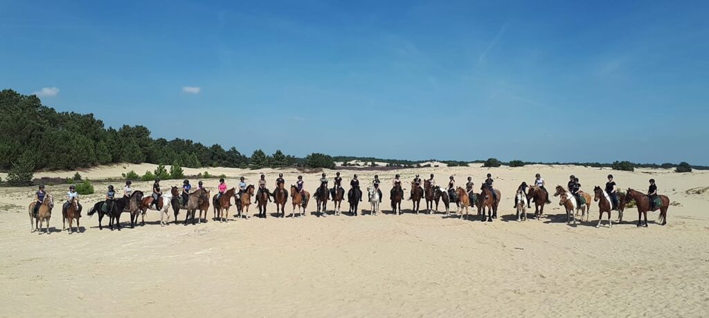 Ruiter 3-daagse volwassenen - Loonse en Drunense Duinen Noord-Brabant - Nederland