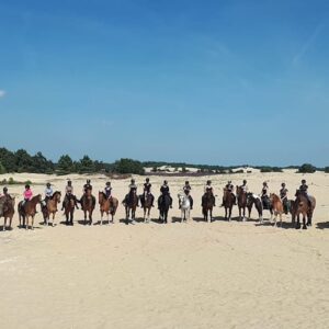 Ruiter 3-daagse volwassenen - Loonse en Drunense Duinen Noord-Brabant - Nederland