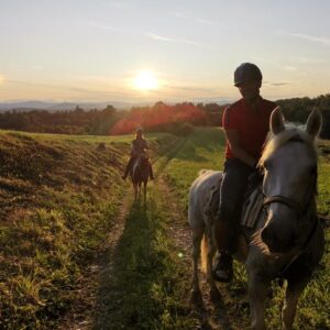 Ranchvakantie in Duga Resa – Kroatië - Afbeelding 12