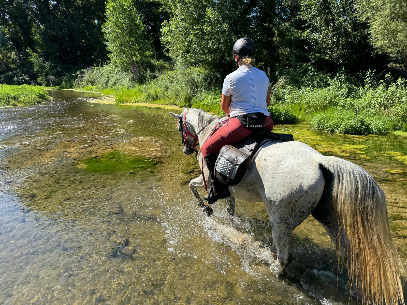7-daagse paardrijtocht Pyreneeën Catalonië - Spanje - Afbeelding 15