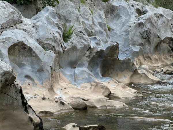 7-daagse paardrijtocht Pyreneeën Catalonië - Spanje