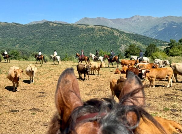 7-daagse paardrijtocht Pyreneeën Catalonië - Spanje