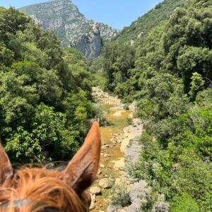 7-daagse paardrijtocht Pyreneeën Catalonië - Spanje - Afbeelding 9