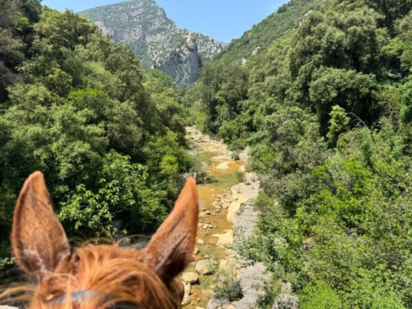 7-daagse paardrijtocht Pyreneeën Catalonië - Spanje