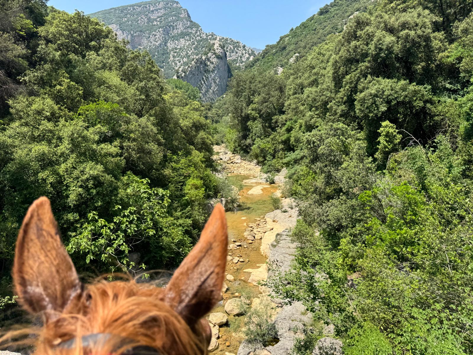 7-daagse paardrijtocht Pyreneeën Catalonië - Spanje - Afbeelding 9