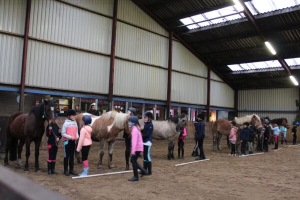 Paardrijlessen privé/groep (evt. met overnachting, evt. met eigen paard) - Loonse en Drunense Duinen Noord-Brabant - Nederland