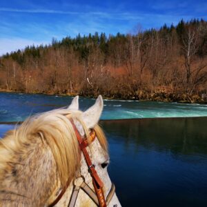 Ranchvakantie in Duga Resa – Kroatië - Afbeelding 13