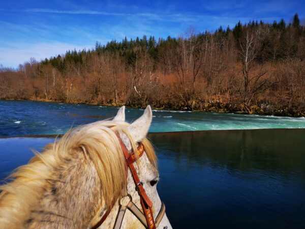 Ranchvakantie in Duga Resa – Kroatië