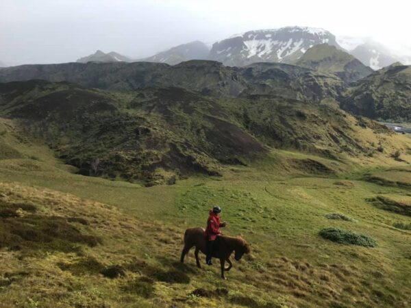 6-daagse paardrijtocht over het Snæfellsnes-schiereiland - IJsland