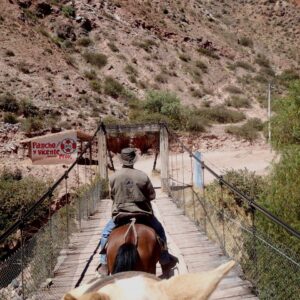 Paardrijdagtocht naar Valley View Point – Puma Orqo- Peru - Afbeelding 4