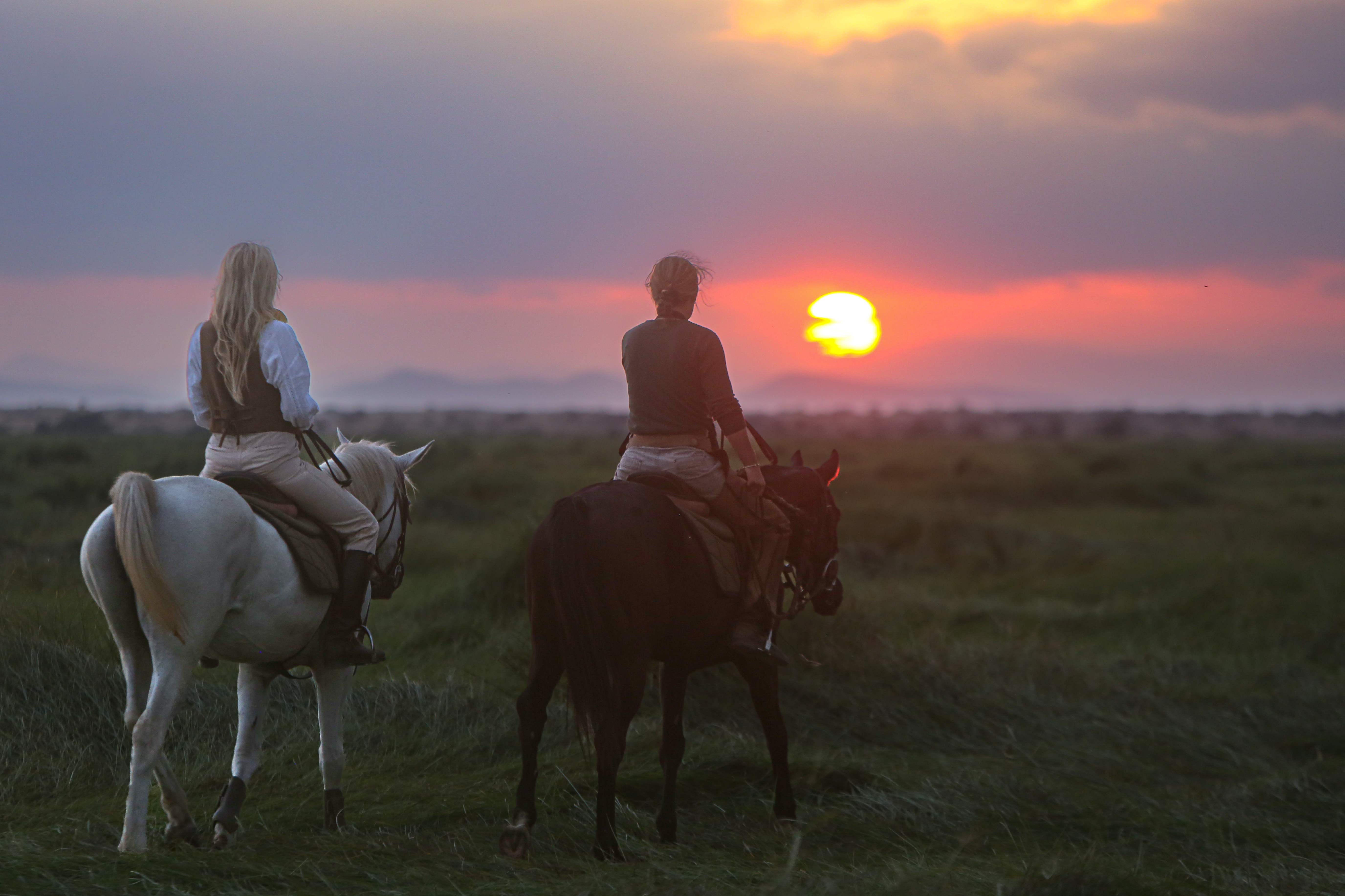 8-daagse Paardrijsafari Kilimanjaro Olifantenattractie - Tanzania - Afbeelding 38