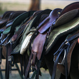 5-daagse Paardrijsafari en yoga-retreat - Tanzania - Afbeelding 21