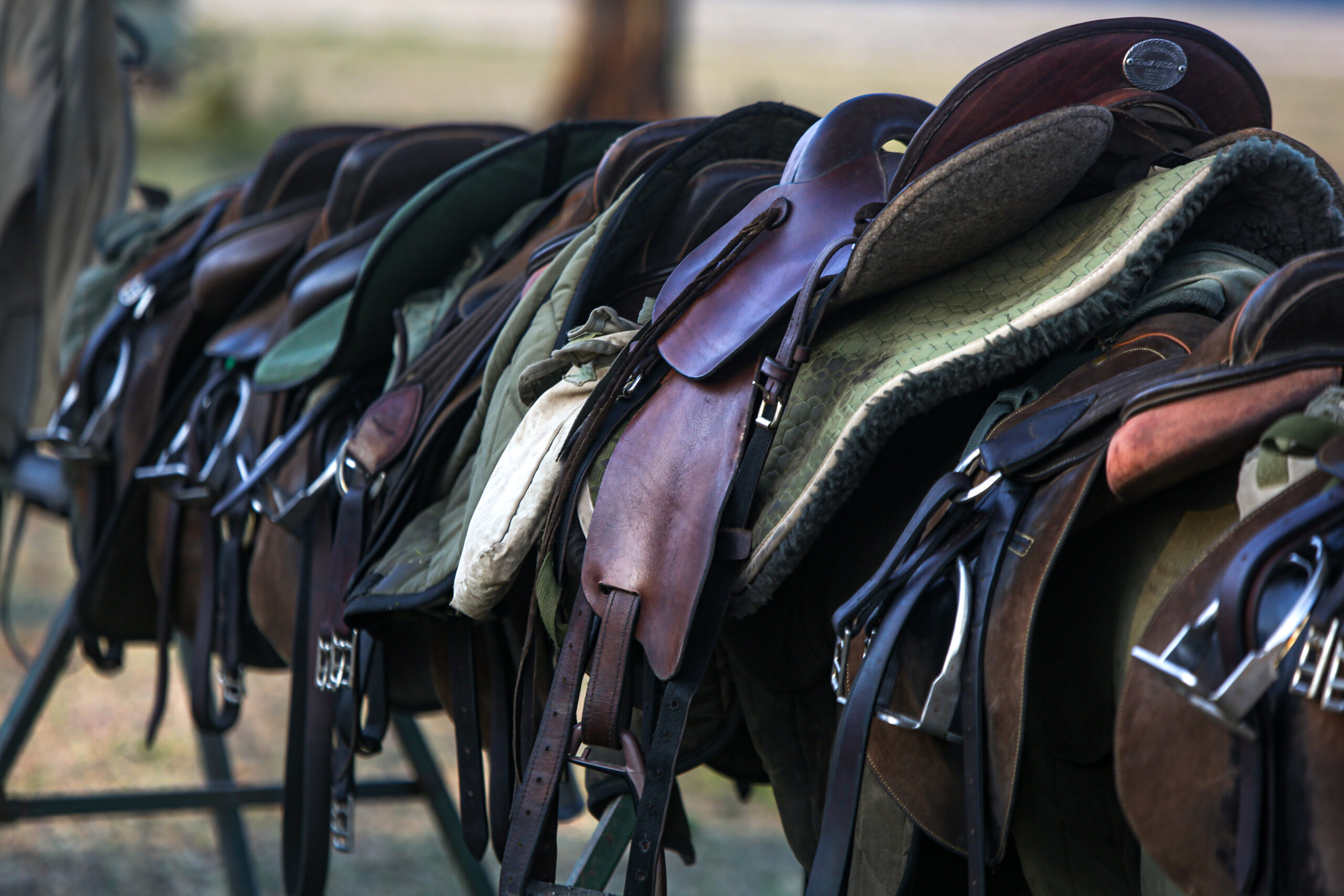 5-daagse Paardrijsafari en yoga-retreat - Tanzania - Afbeelding 21