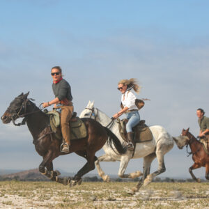 8-daagse Paardrijsafari Kilimanjaro Olifantenattractie - Tanzania - Afbeelding 34