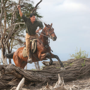 8-daagse Paardrijsafari Kilimanjaro Olifantenattractie - Tanzania - Afbeelding 32