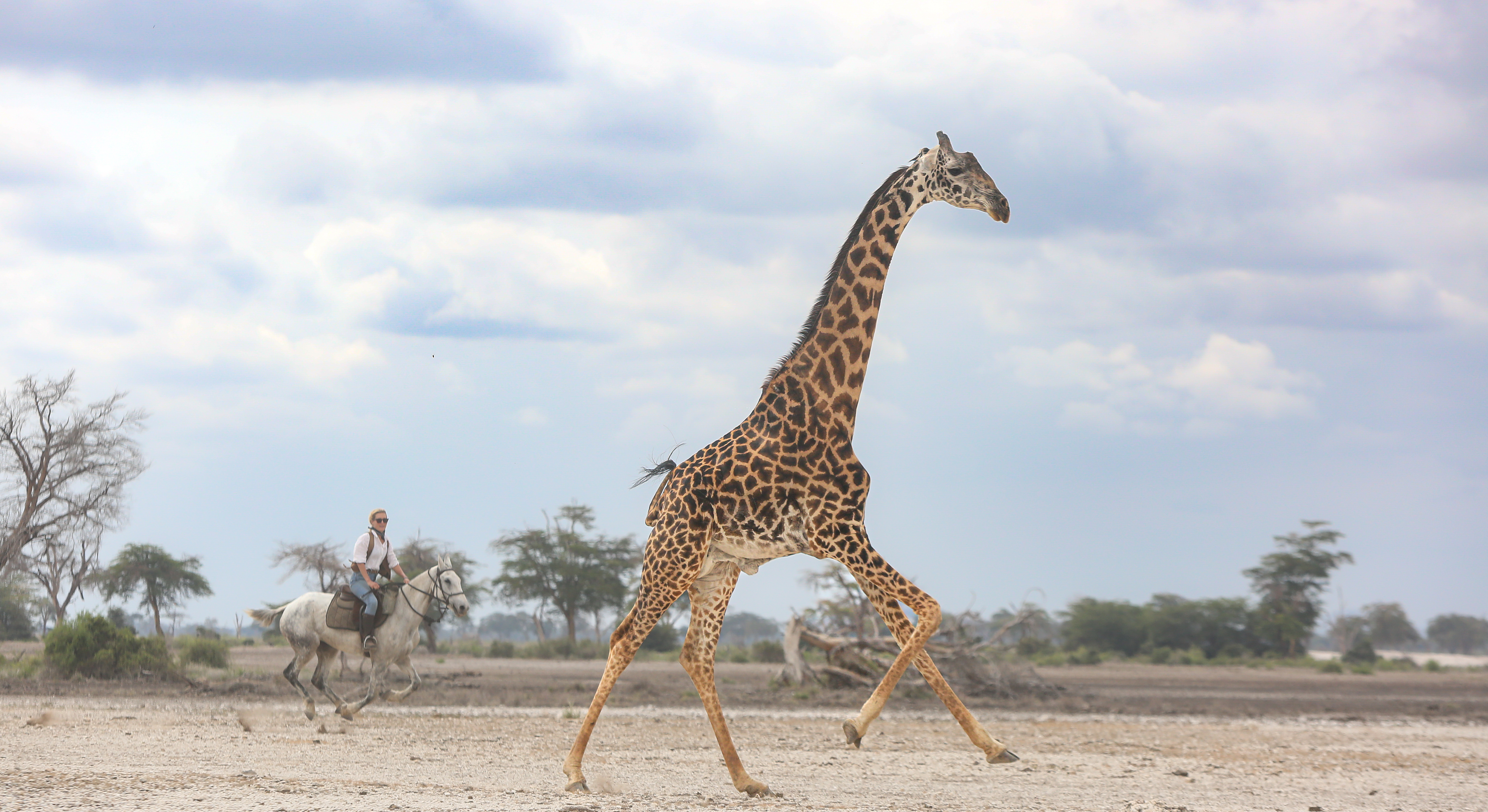 8-daagse Paardrijsafari Kilimanjaro Olifantenattractie - Tanzania - Afbeelding 30