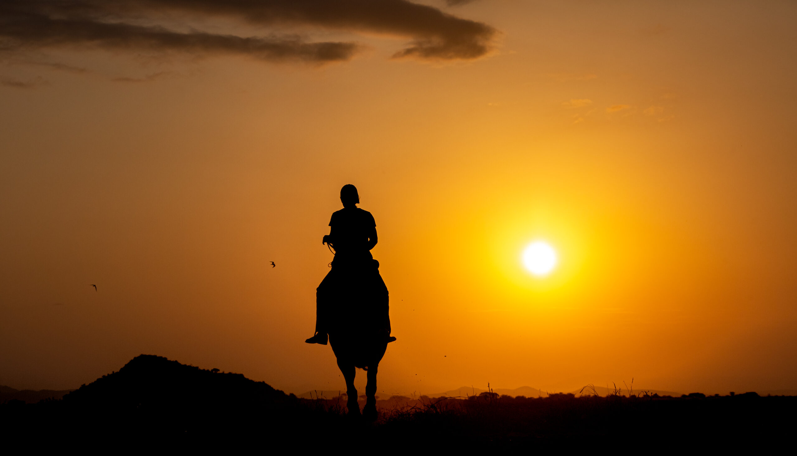 5-daagse Paardrijsafari en yoga-retreat - Tanzania - Afbeelding 18