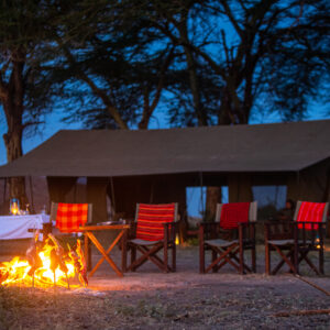 8-daagse Paardrijsafari Kilimanjaro Olifantenattractie - Tanzania - Afbeelding 27