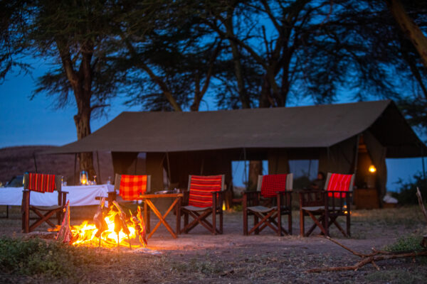 8-daagse Paardrijsafari Kilimanjaro Olifantenattractie - Tanzania