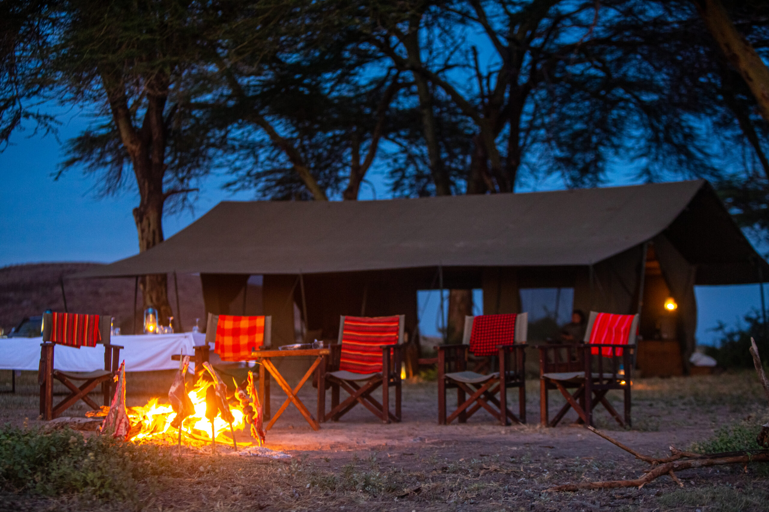 8-daagse Paardrijsafari Kilimanjaro Olifantenattractie - Tanzania - Afbeelding 27