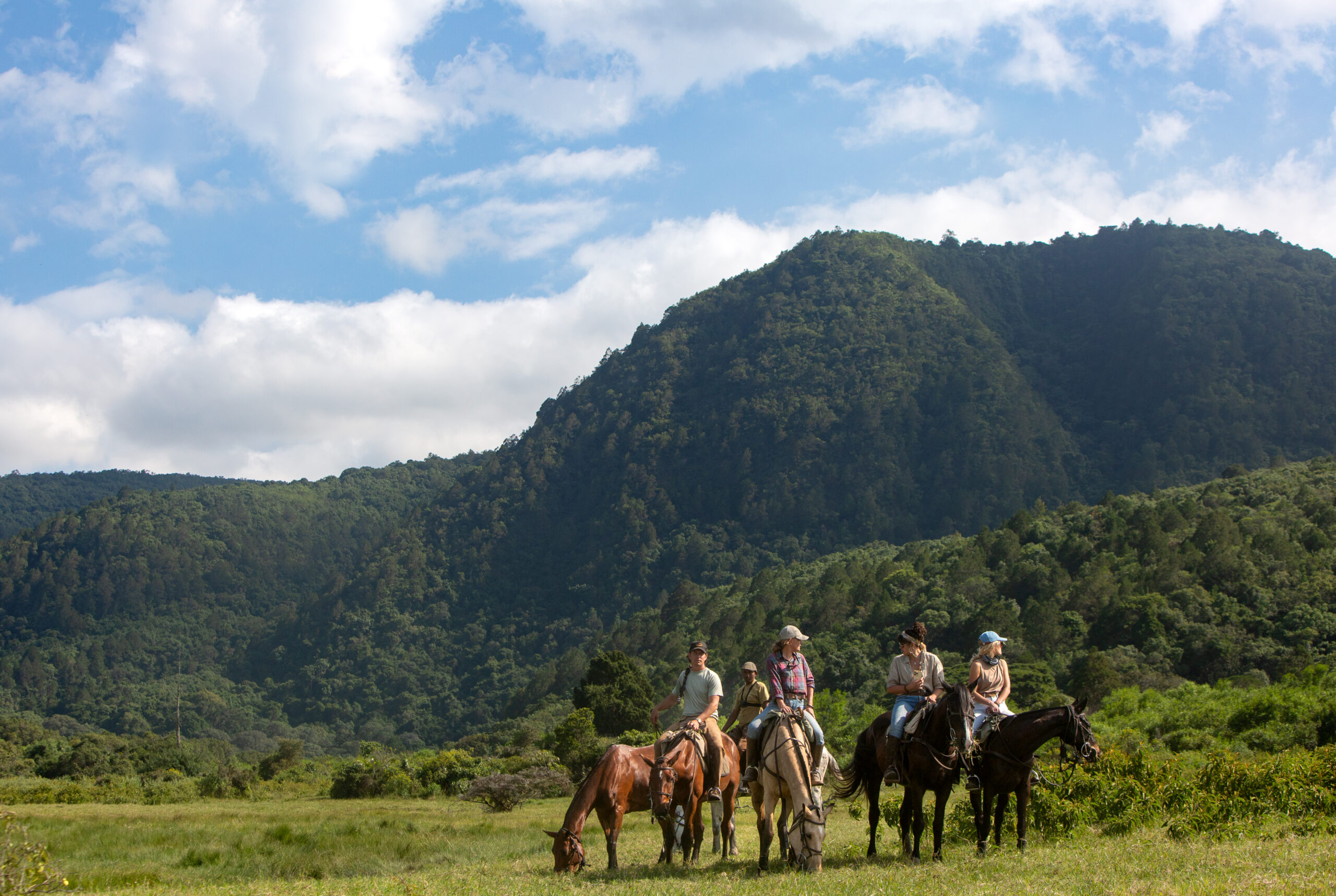 8-daagse Paardrijsafari Kilimanjaro Olifantenattractie - Tanzania - Afbeelding 24