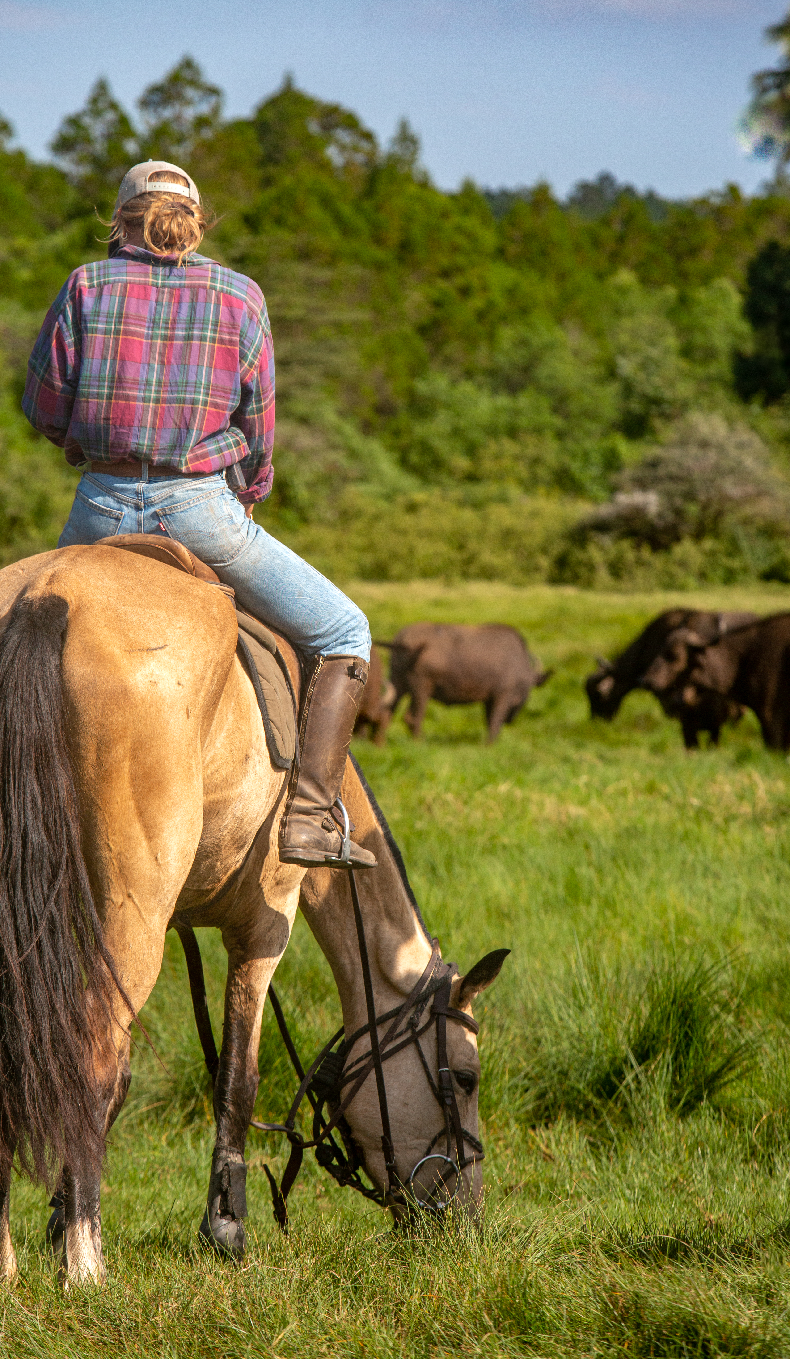 8-daagse Paardrijsafari Kilimanjaro Olifantenattractie - Tanzania - Afbeelding 19