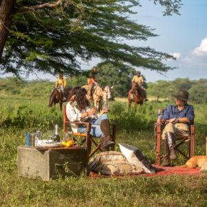 8-daagse Paardrijsafari Kilimanjaro Olifantenattractie - Tanzania - Afbeelding 13