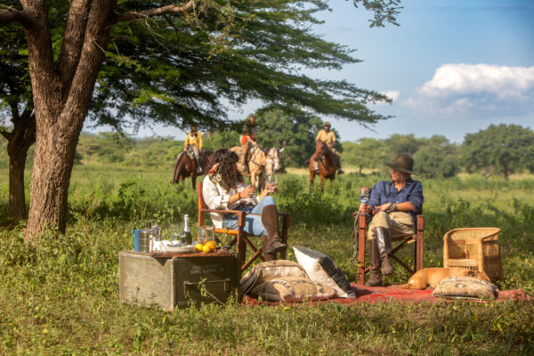 8-daagse Paardrijsafari Kilimanjaro Olifantenattractie - Tanzania