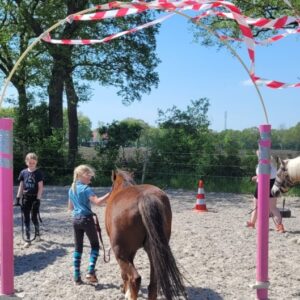 Paardrijkamp met je eigen paard voor kinderen met gezin in Westerveld Drenthe - Nederland
